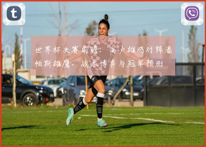 世界杯决赛前瞻：高卢雄鸡对阵潘帕斯雄鹰，战术博弈与冠军预测