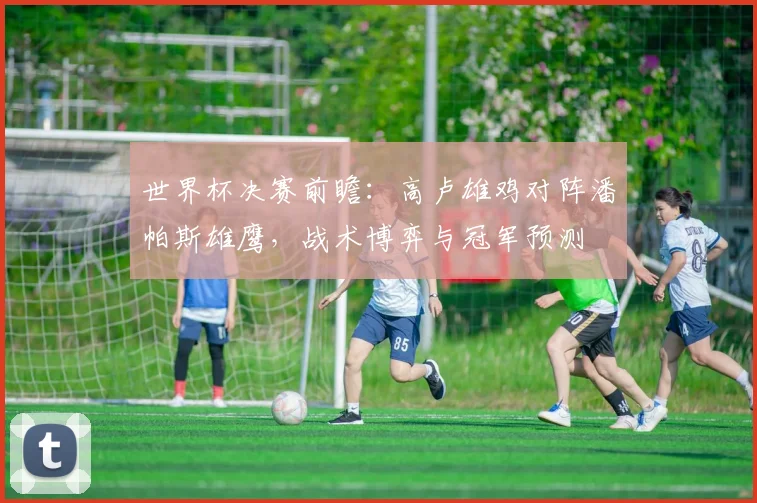 世界杯决赛前瞻：高卢雄鸡对阵潘帕斯雄鹰，战术博弈与冠军预测